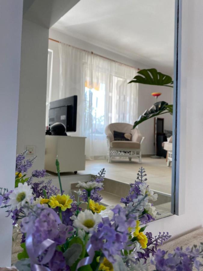 Apartment Lavanda Molat Dış mekan fotoğraf