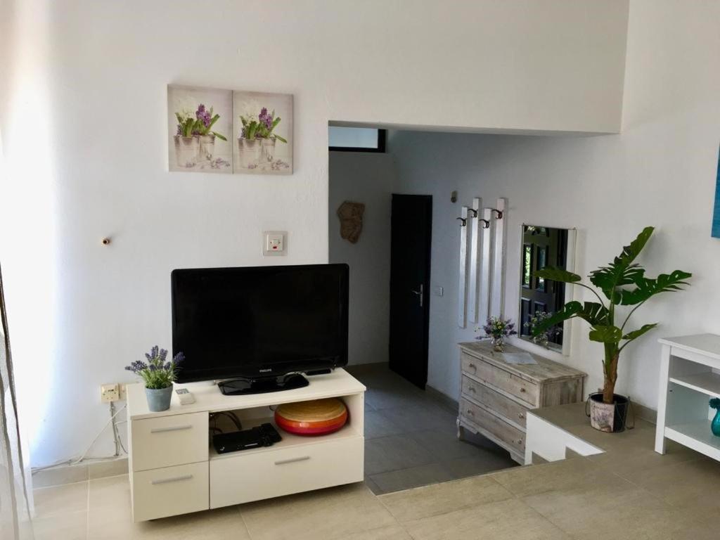 Apartment Lavanda Molat Dış mekan fotoğraf