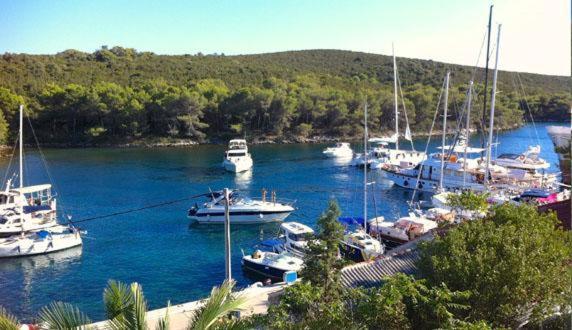 Apartment Lavanda Molat Dış mekan fotoğraf
