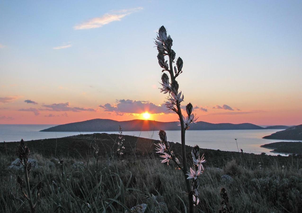 Apartment Lavanda Molat Dış mekan fotoğraf